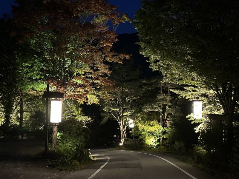紅葉の町並みライトアップイベントのご案内。