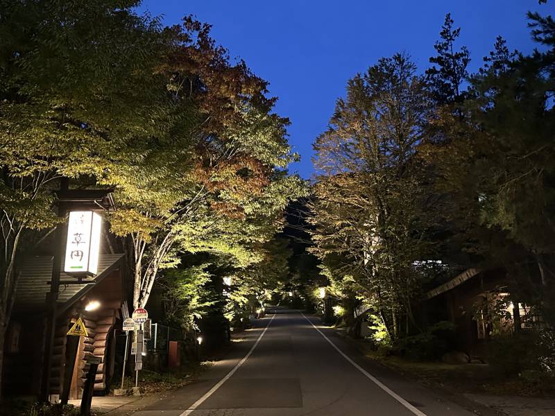 紅葉の町並みライトアップイベントのご案内。