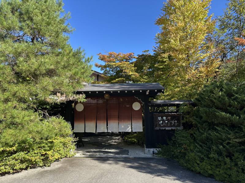 2026紅葉情報：色づき始めました！