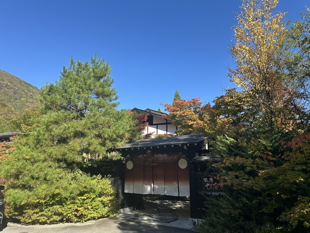 2026紅葉情報：紅葉も見頃を迎えております