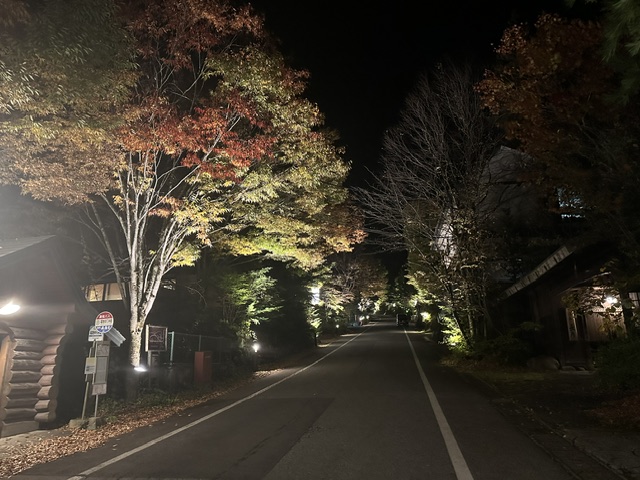 2026紅葉情報：紅葉も見頃を迎えております