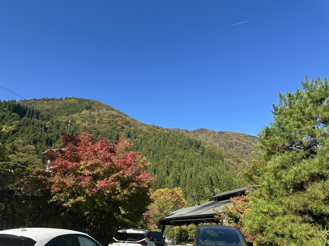 2026紅葉情報：紅葉も見頃を迎えております