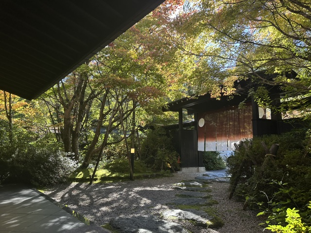 2026紅葉情報：紅葉も見頃を迎えております