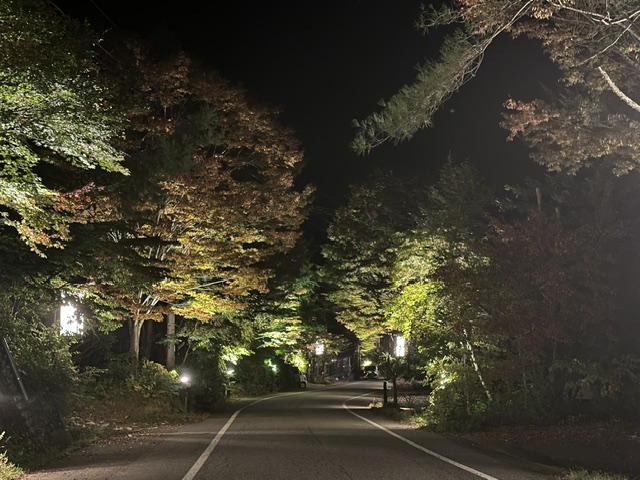 2026紅葉情報：紅葉も見頃を迎えております