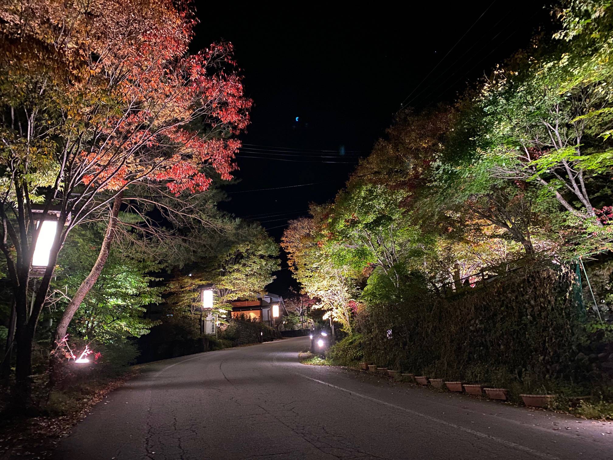 紅葉の町並みライトアップイベント開催中！