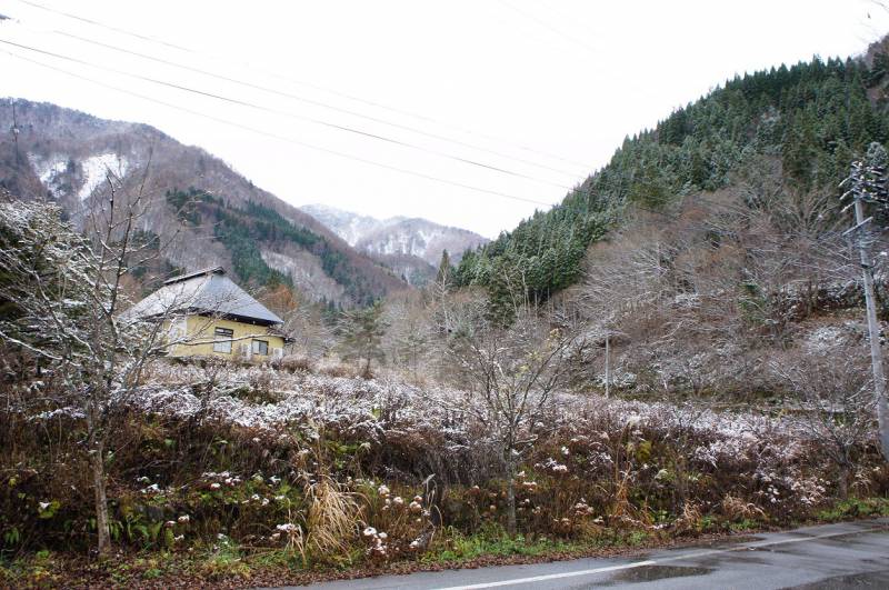 初雪