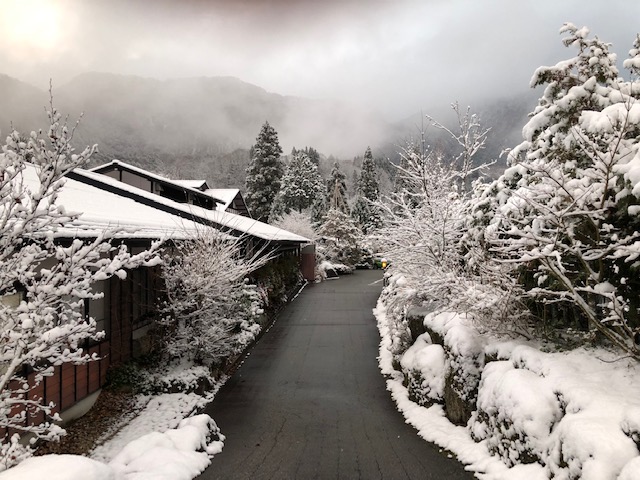 雪化粧しました。