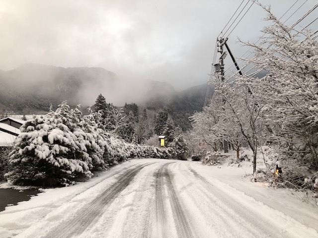 雪化粧しました。