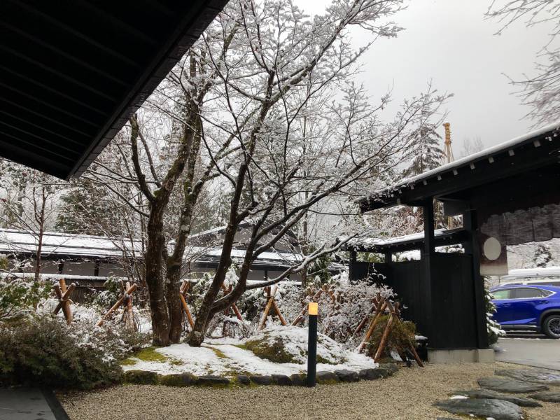 本日も雪です。