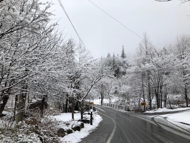 本日も雪です。