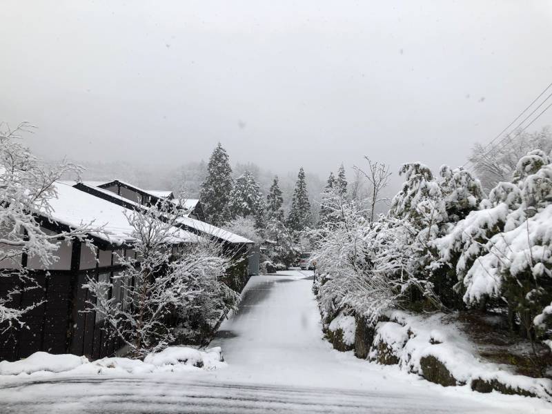 4月10日の雪景色