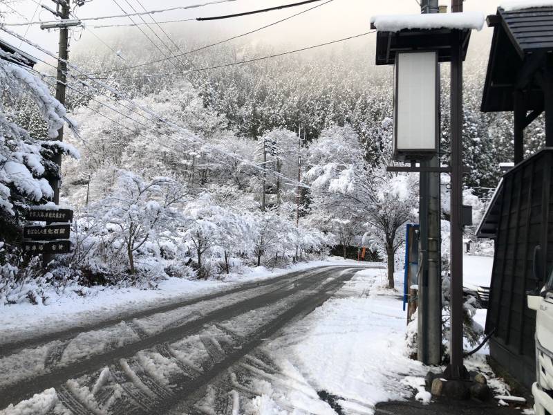 久しぶりの雪景色