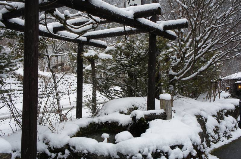 待望の降雪