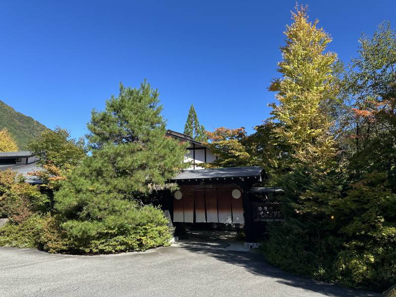 2026紅葉情報：色づき始めました！
