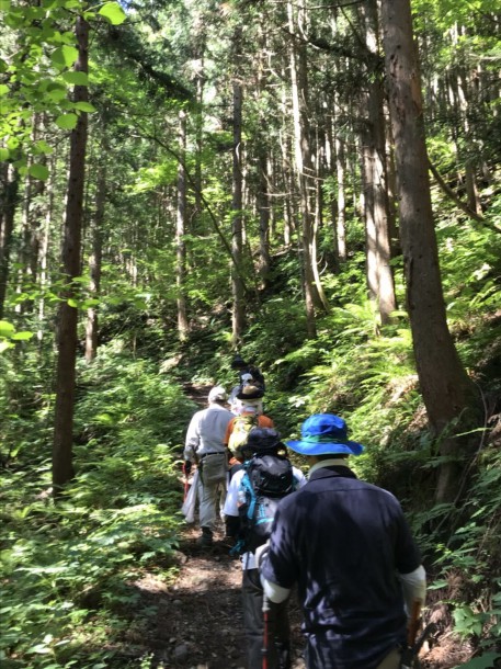 福地山トレッキングルートの整備を行いました。