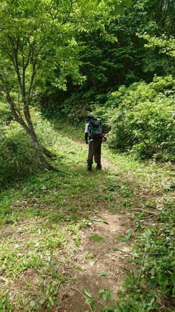 福地山トレッキングルートの整備を行いました。