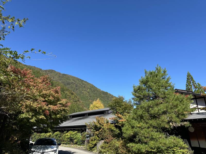 2026紅葉情報：色づき始めました！