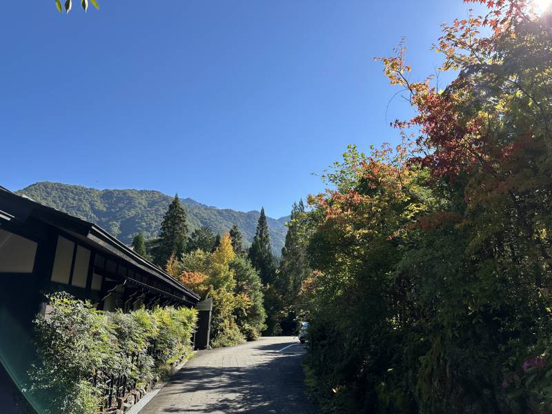 2026紅葉情報：色づき始めました！