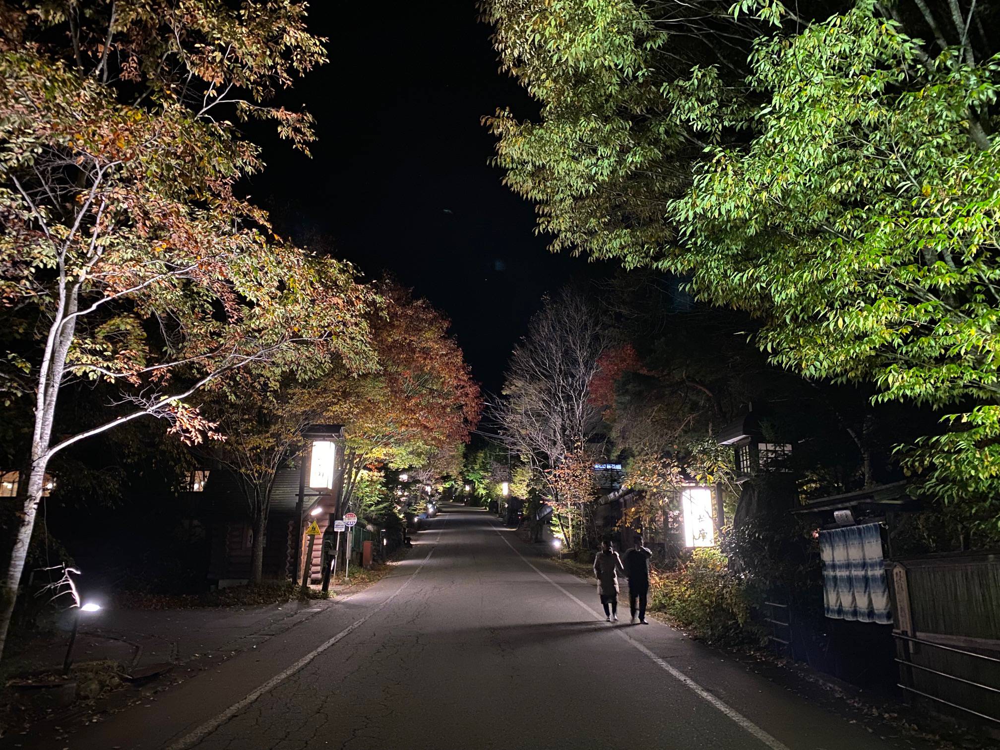 紅葉の町並みライトアップイベント開催中！