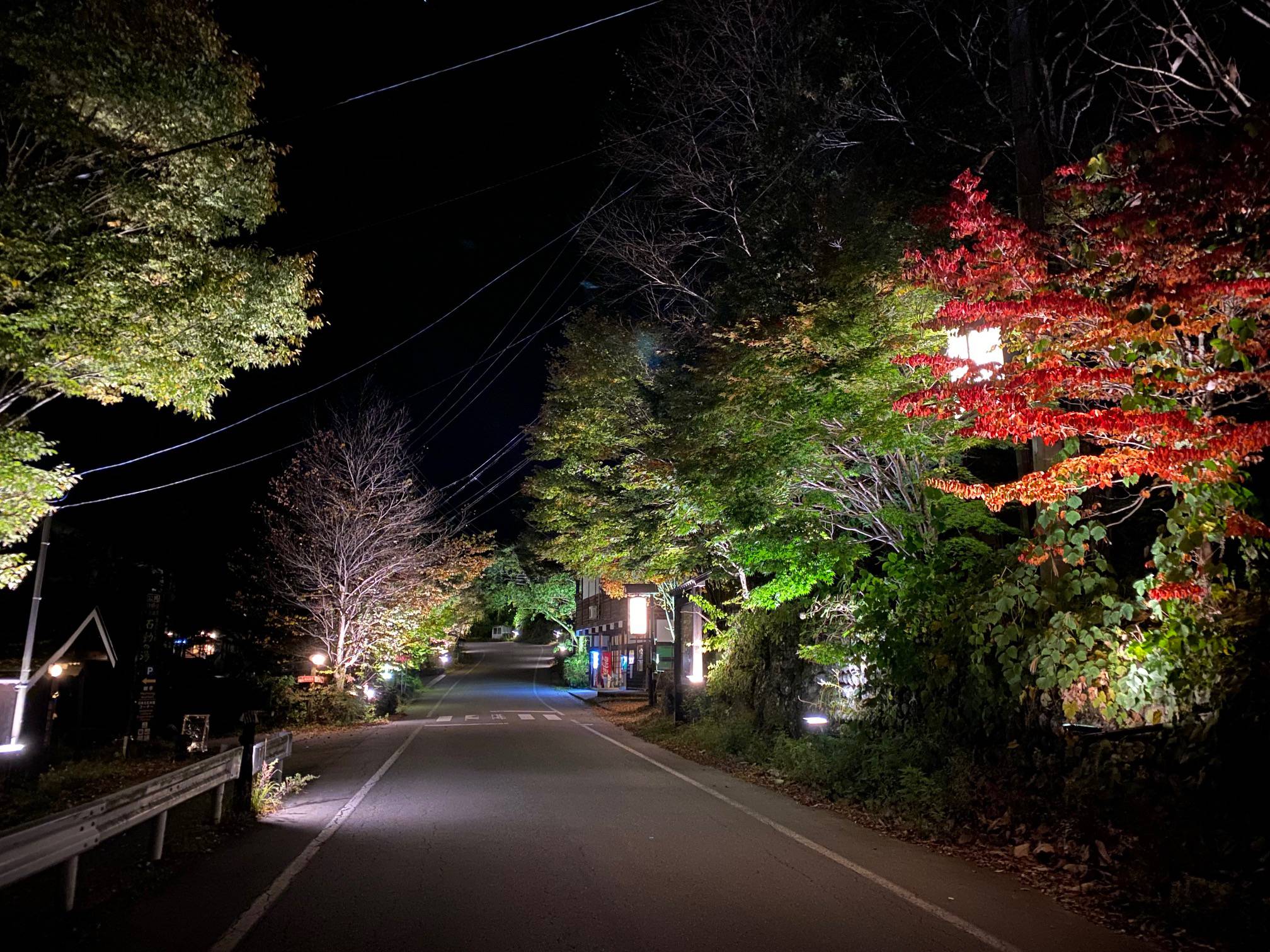 紅葉の町並みライトアップイベント開催中！