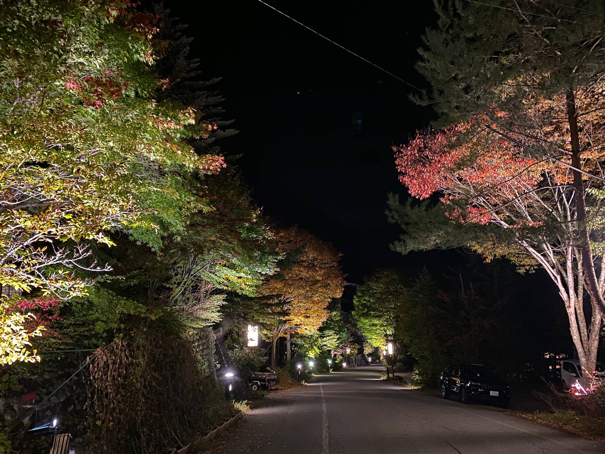 紅葉の町並みライトアップイベント開催中！