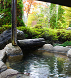Views of Guest Room 5