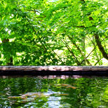 川沿いの離れの湯。